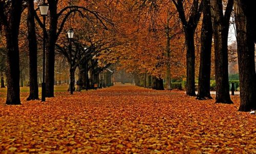 Zdjecie POLSKA / d / Park Poniatowskiego / jesie