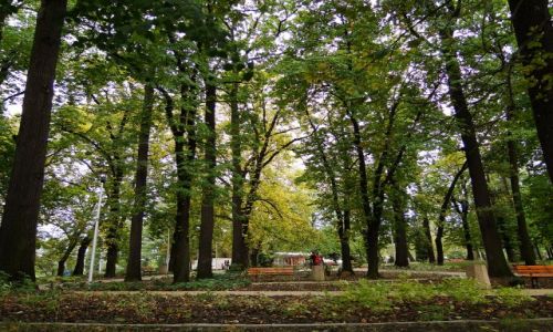 Zdjecie POLSKA / Grny lsk / Tychy- park Paprocany / Moja Maa Ojczyzna