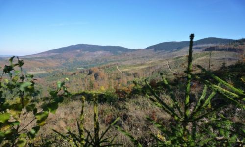 Zdjęcie POLSKA / Beskid Żywiecki / ok Rysianki 1322 npm. / ZŁOTA POLSKA JESIEŃ
