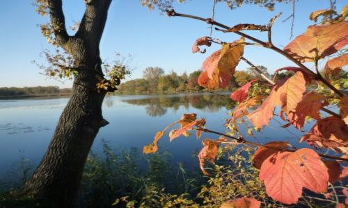 Zdjcie POLSKA / powait Wadowice / Spytkowice / Polska Jesie