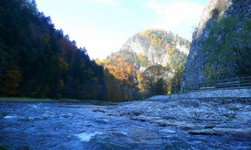 Zdjecie POLSKA / Pieniny / Dunajec / Przeom Dunajca I