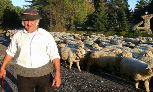 Zdjecie POLSKA / Pieniny / Droga koo Czorsztyna / Redyk