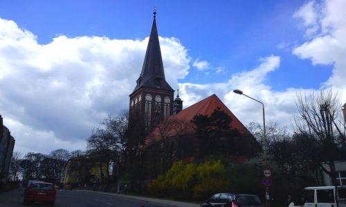 Zdjecie POLSKA / zachodniopomorskie / Stargard / koci w Jana