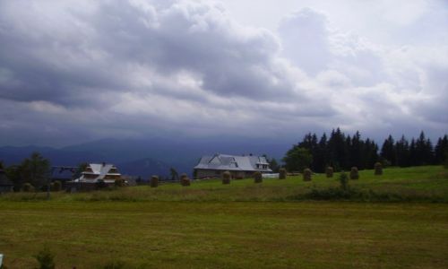 Zdjecie POLSKA / Zakopane / Gubawka / 