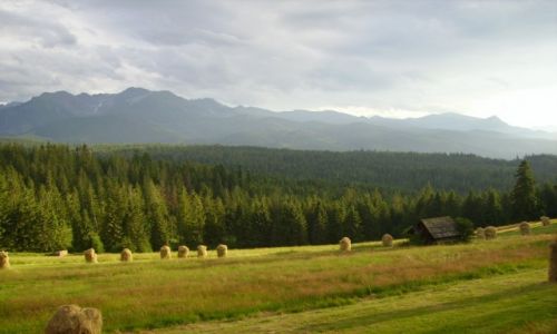 Zdjecie POLSKA / Zakopane / Godwka / widok na Tatry z Godwki