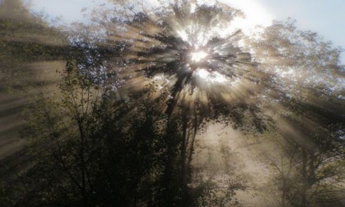 Zdjecie POLSKA / - / Bieszczady / O poranku