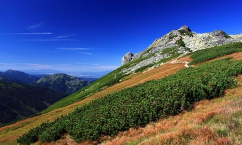 Zdjecie POLSKA / Maopolska / Tatry Zachodnie / Ornak