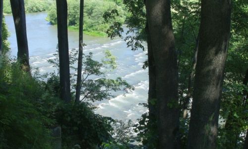 Zdjęcie POLSKA / Bieszczady / Chmiel / Wychodnie na Sanie