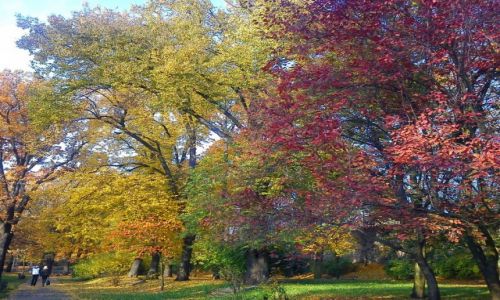 Zdjecie POLSKA / zachodniopomorskie / Stargard / jesienny Park Chobrego [dawniej fosa]