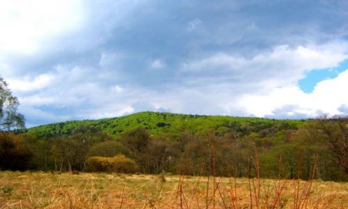 Zdjecie POLSKA / Beskid Niski / Beskid Niski / Beskid Niski