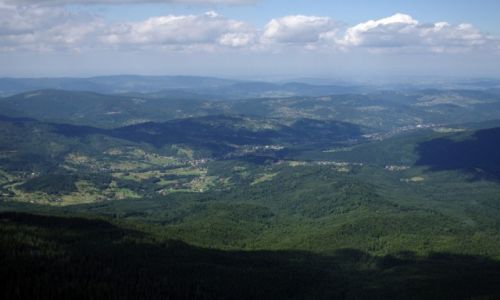 Zdjecie POLSKA / Beskid ywiecki / Zawoja / Widok z Babiej Gory