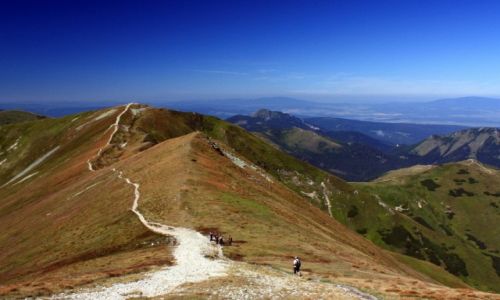 Zdjecie POLSKA / Maopolska / Tatry Zachodnie / cieka na Koczysty Wierch