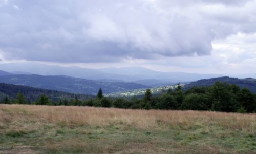 Zdjcie POLSKA / Beskid Makowski / Pasmo Jaowieckie / Na Jaowcu (1111 m)