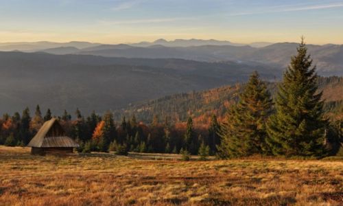 Zdjecie POLSKA / Beskidy / Hala Bieguska / na hali