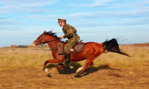 Zdjecie POLSKA / - / Ogrodzieniec / galop