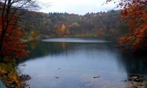 Zdjcie POLSKA / zachodniopomorskie / Szczecin - Zdroje / Jesie nad Szmaragdowym