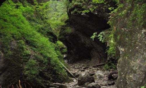 Zdjecie POLSKA / Tatry / - / Wwz Krakw