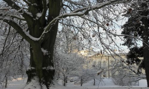 Zdjecie POLSKA / - / KOSZALIN / Zupenie zwyczajny widok...