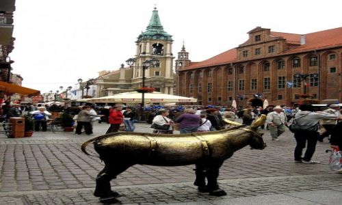 Zdjecie POLSKA / Kujawsko - Pomorskie / Toru / toruskie ciekawostki