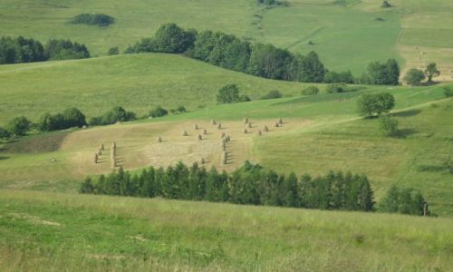 Zdjecie POLSKA / Pieniny / Szczawnica / Sielsko