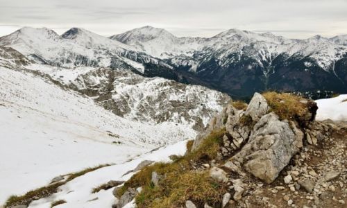 Zdjecie POLSKA / Maopolskie / Tatry / W stron Ciemniaka