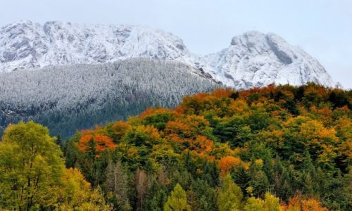 Zdjecie POLSKA / Maopolska / Tatry, Giewont / Tatry padziernikowe 1