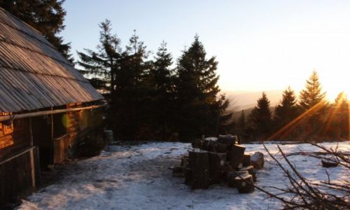 Zdjęcie POLSKA / Gorce / Gorc / Konkurs - Bacówka na Gorcu