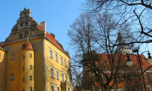 Zdjecie POLSKA / Dolnolskie / Olenica / Zamek w Olenicy