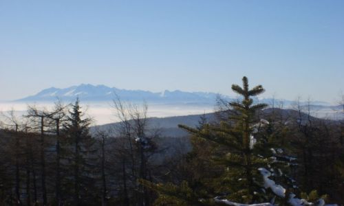 Zdjecie POLSKA / Jaworzyna Krynicka / widok na Tatry z Jaworzyny / Konkurs