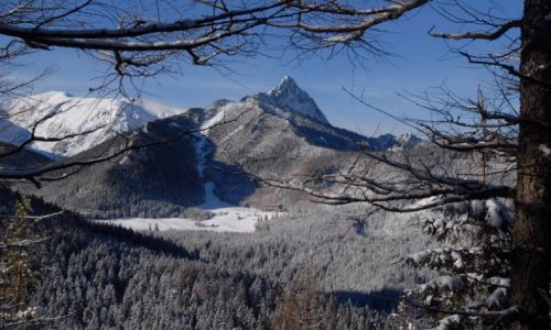 Zdjecie POLSKA / Tatry / Skupniowy Upaz / W zimowej szacie