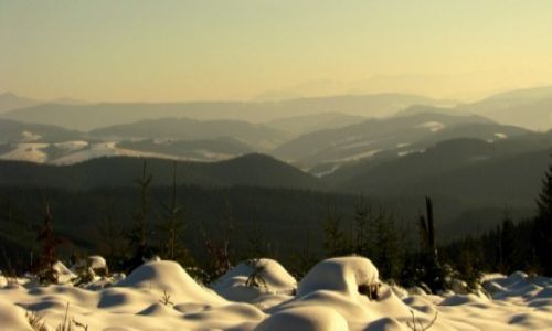 Zdjecie POLSKA / BESKID YWIECKI / UJSOY / KONKURS