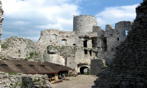 Zdjecie POLSKA / LSKIE / Ogrodzieniec / Ruiny zamku