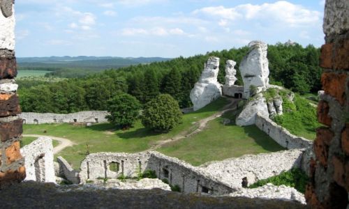 Zdjecie POLSKA / LSKIE / Ogrodzieniec / Ruiny zamku
