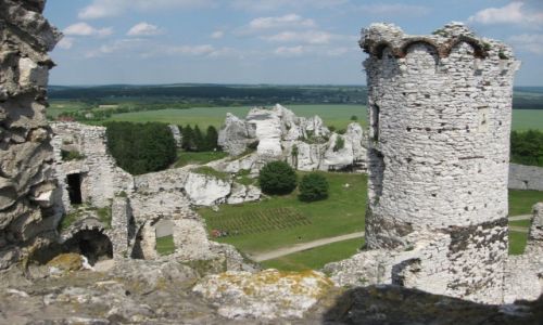 Zdjecie POLSKA / LSKIE / Ogrodzieniec / Ruiny zamku