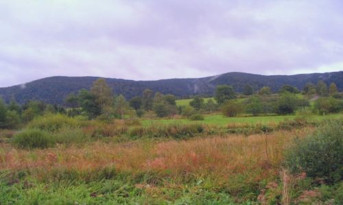 Zdjcie POLSKA / Bieszczady / okolice Cisnej / krajobraz