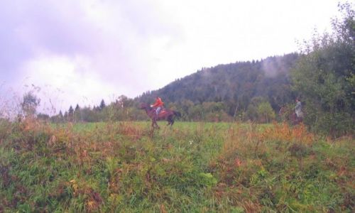 Zdjcie POLSKA / Bieszczady / okolice Cisnej / krajobraz