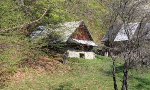 Zdjecie POLSKA / Beskid Sdecki / Piwniczna-Zdrj / Moje gry