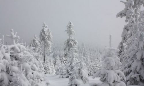 Zdjecie POLSKA / Beskid Sdecki / Piwniczna-Zdrj / Moje gry