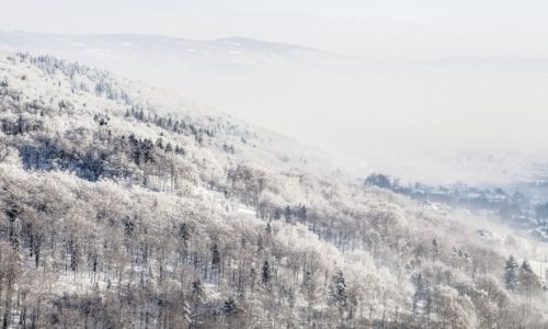 Zdjcie POLSKA / Beskid lski / Szczyrk / Konkurs