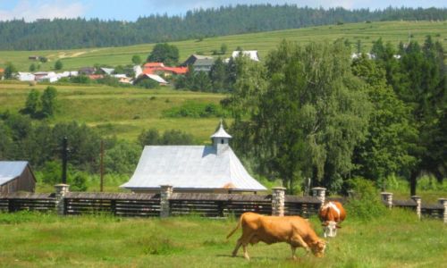 Zdjęcie POLSKA / Pieniny /  okolice Niedzicy / a to Polska własnie...