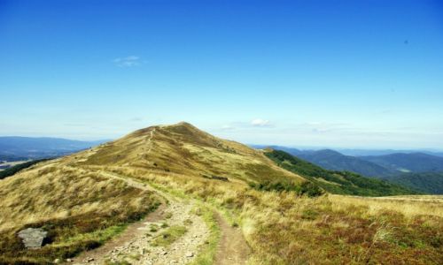 Zdjecie POLSKA / Bieszczady / Bieszczady / Ponad chmurami