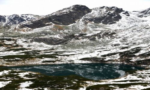 Zdjecie POLSKA / TATRY / DOLINA GSIENICOWA / DOLINA ZIELONA GSIENICOWA