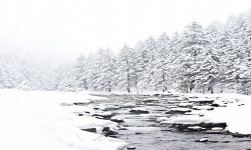 Zdjecie POLSKA / Tatry / Dolina Kocieliska / konkurs