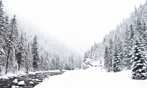Zdjecie POLSKA / Tatry / Dolina Kocieliska / konkurs