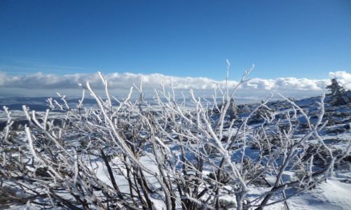 Zdjęcie POLSKA / Beskid. / gdzieś na szlaku / Babia Góra