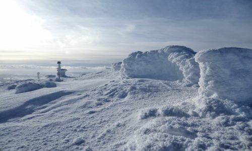 Zdjecie POLSKA / Beskid. / gdzie na szlaku / Babia Gra