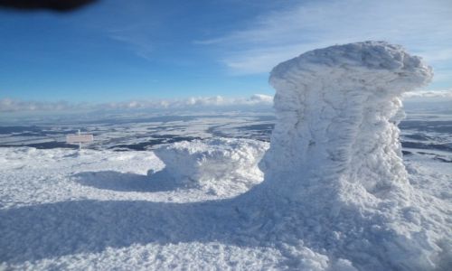 Zdjęcie POLSKA / Beskid. / gdzieś na szlaku / Babia Góra