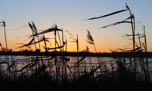 Zdjecie POLSKA / Mazury / Ek / Wietrznie 