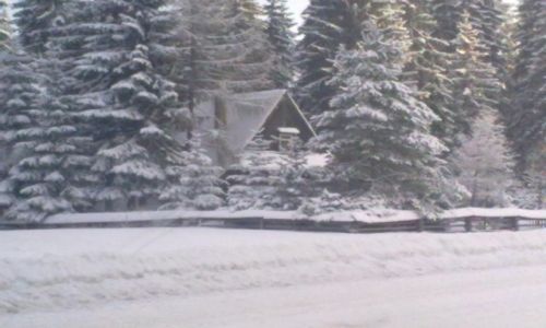 Zdjecie POLSKA / -Tatry / Murzasikle, Mae ciche, Poronin / konkurs