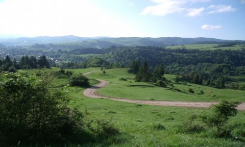 Zdjcie POLSKA / Pieniny / jaworki / droga do schroniska Durbaszka